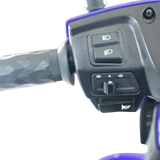 TRON PRO MOBILITY SCOOTER