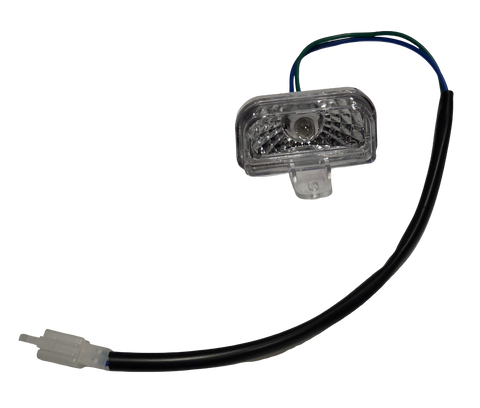 Golf License Plate Light