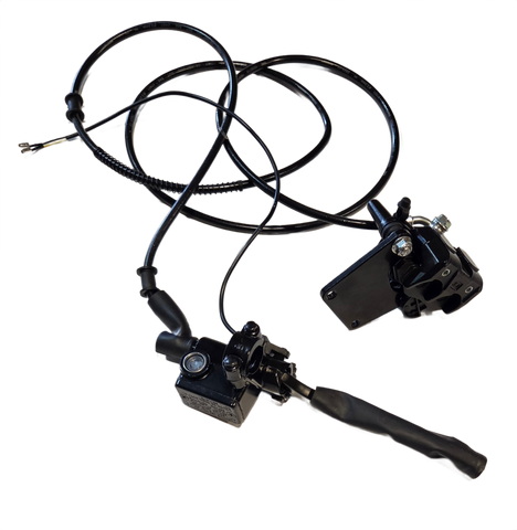 Crown Rear disc brake assembly