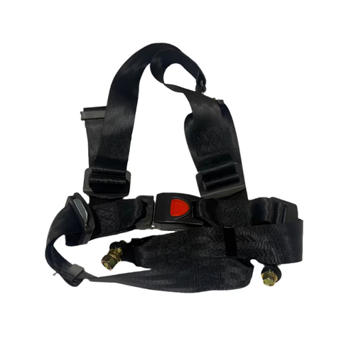 GT125 2024 Seat Belt