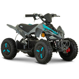 MANTERAY X ATV