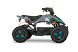 MANTERAY X ATV