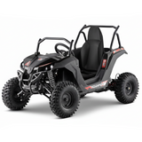 RENEGADE BUGGY